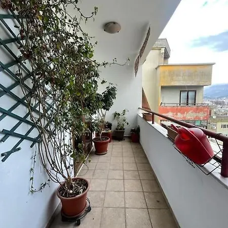 Dajti View *
